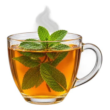 Fresh Mint Tea
